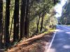 Ten Mile Cut Off Road photo